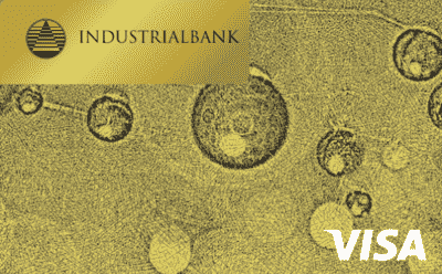 Пакет послуг «Gold VIP»